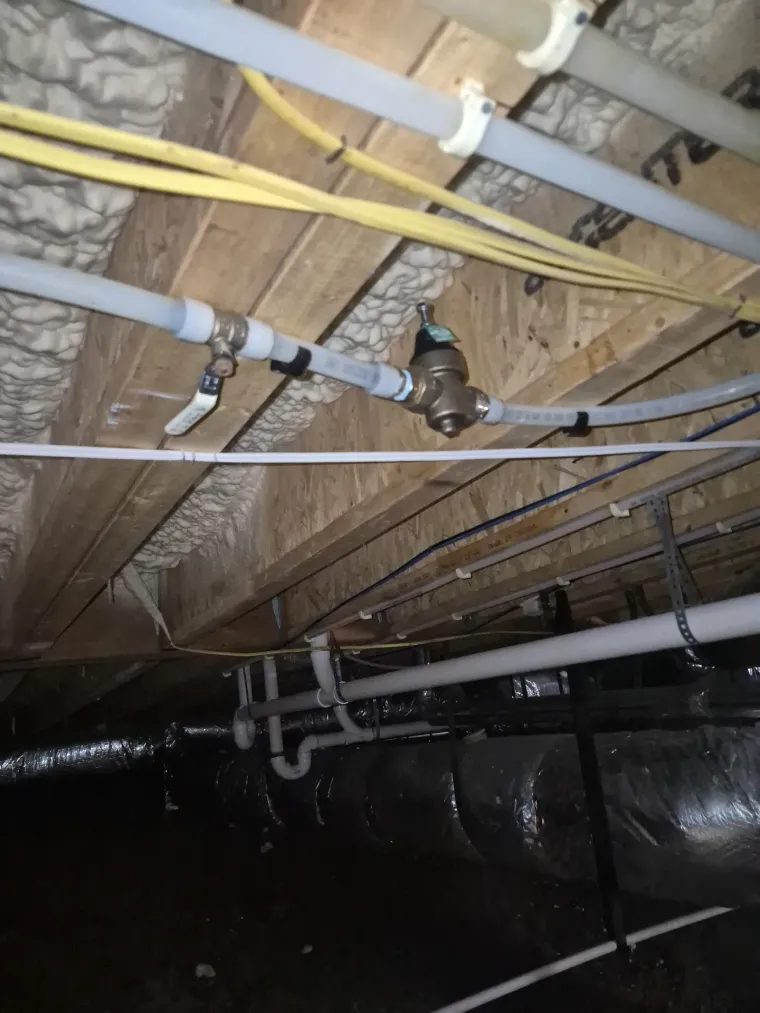 Leak Detection in Cookson