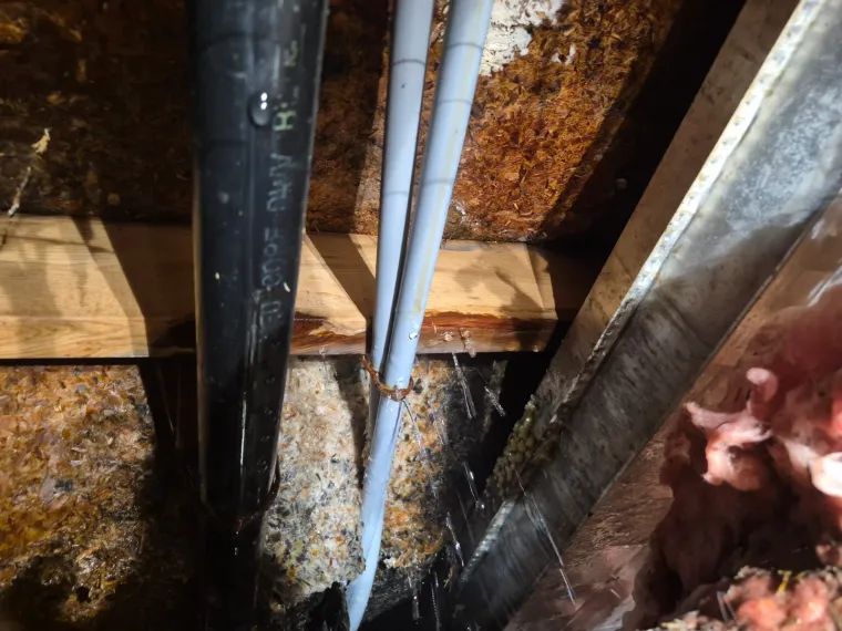 Leak Detection in Cookson