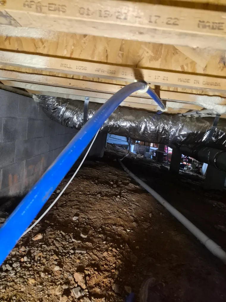 Water Damage Restoration in Cookson