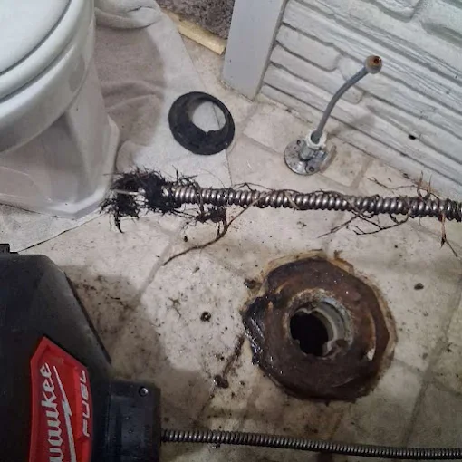 Roots and buildup pulled from a toilet drain by Clog Hunter